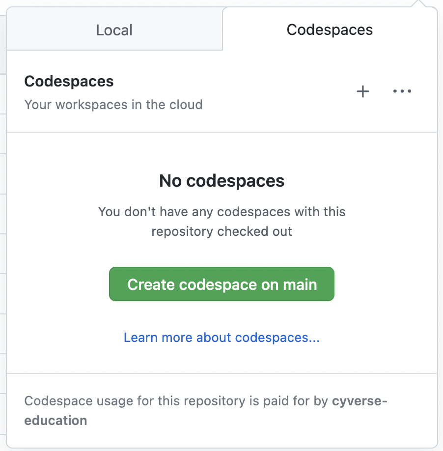 codespace_2